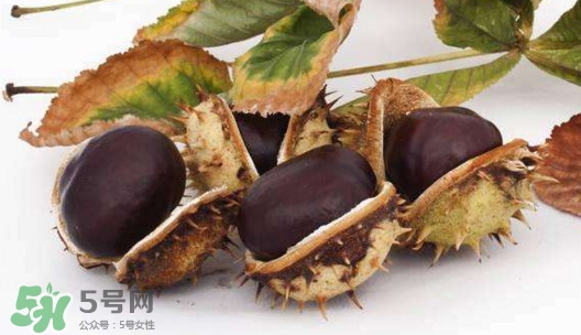 板栗殼怎么好剝？怎樣剝板栗殼最快