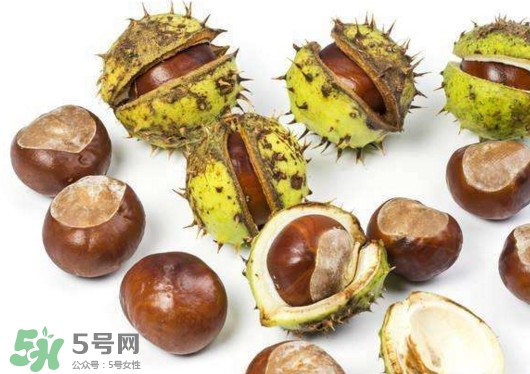 板栗殼怎么好剝？怎樣剝板栗殼最快