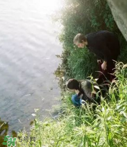 lad musician2017秋冬系列怎么樣_好看嗎_款式有哪些？