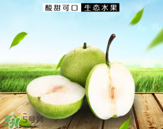 綠寶石梨的營養(yǎng)價值 綠寶石梨的功效與作用 綠寶石梨的營養(yǎng)價值 綠寶石梨的功效與作用