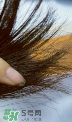 護(hù)發(fā)精油怎么用？護(hù)發(fā)精油使用方法