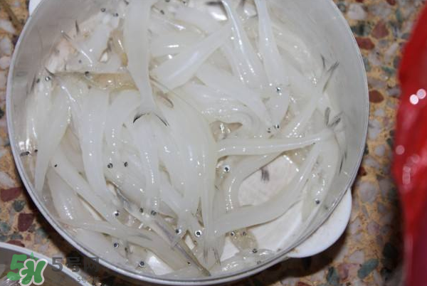 大銀魚(yú)多少錢一斤？大銀魚(yú)怎么洗？