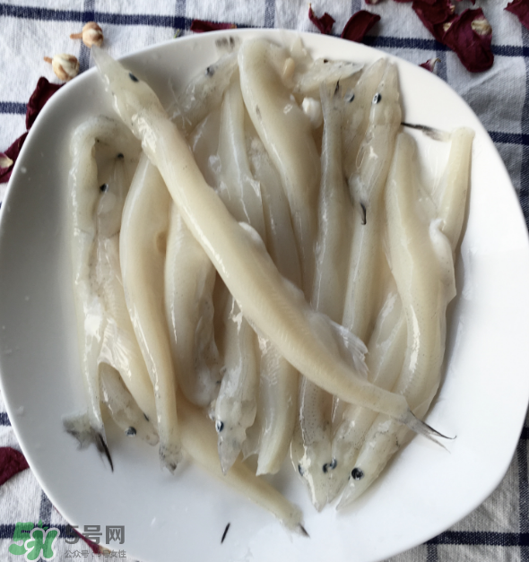 大銀魚(yú)多少錢一斤？大銀魚(yú)怎么洗？