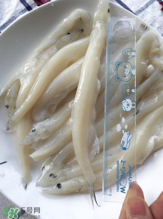 大銀魚(yú)多少錢一斤？大銀魚(yú)怎么洗？