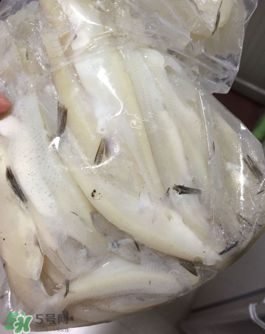 銀魚可以煲粥嗎？銀魚可以包餃子嗎？