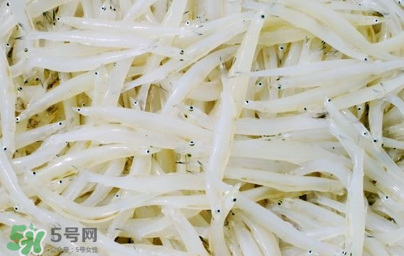 銀魚可以煲粥嗎？銀魚可以包餃子嗎？