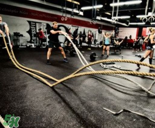 戰(zhàn)繩可以天天練嗎？戰(zhàn)繩能每天都練嗎？