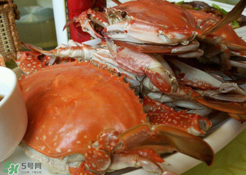 梭子蟹是海里的嗎？梭子蟹是螃蟹嗎？