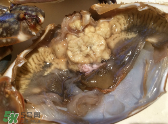 梭子蟹是野生的嗎？梭子蟹養(yǎng)的還是野生的？