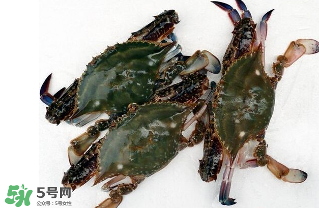 梭子蟹有寄生蟲嗎？梭子蟹有寄生蟲能吃嗎？