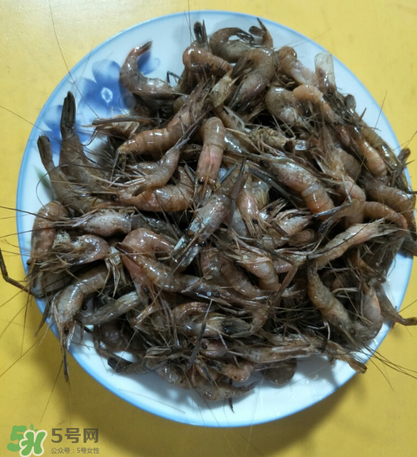 河蝦是發(fā)物嗎？河蝦是不是發(fā)物？