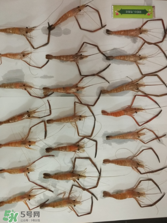 河蝦是海鮮嗎？河蝦屬于海鮮嗎？