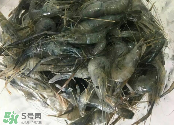 河蝦是基圍蝦嗎？河蝦是辛辣食物嗎？