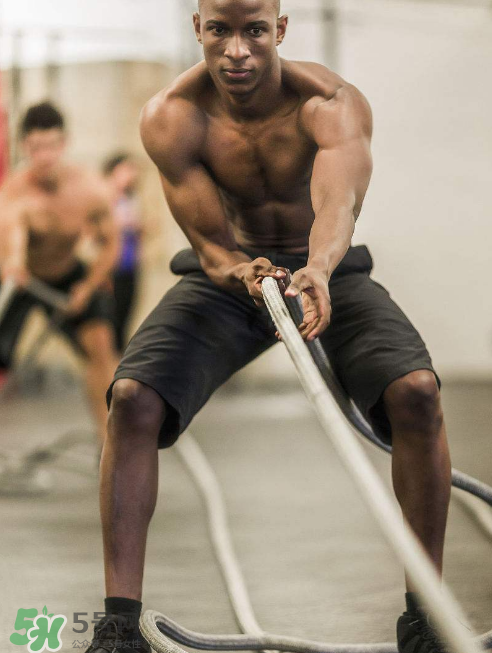 戰(zhàn)繩是有氧運(yùn)動嗎？戰(zhàn)繩是有氧還是無氧？