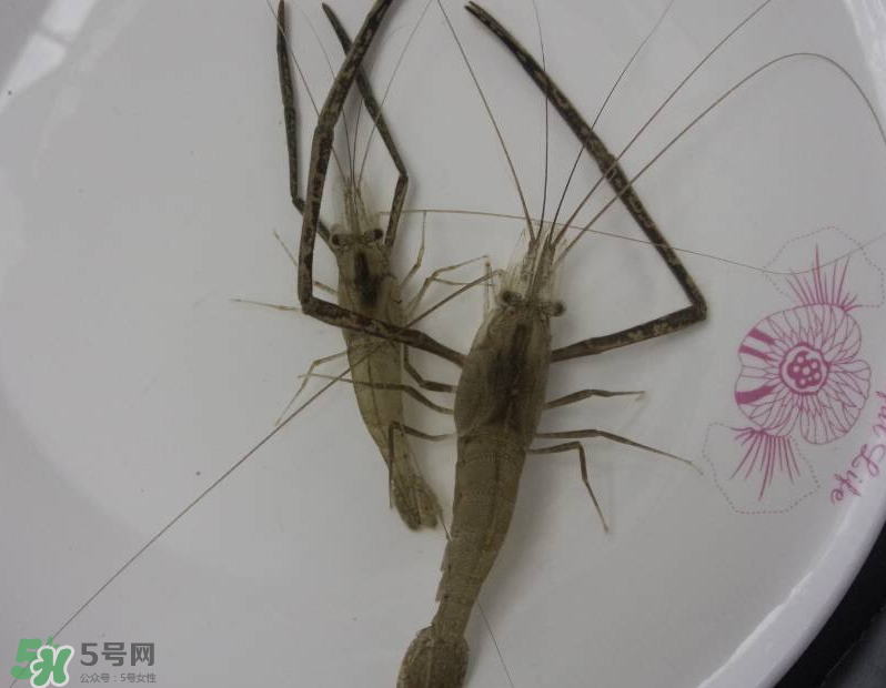 河蝦可以和牛奶同食嗎？河蝦和牛奶能一起吃嗎？