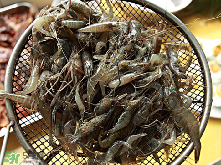 河蝦可以吃頭嗎？蝦頭到底能不能吃？