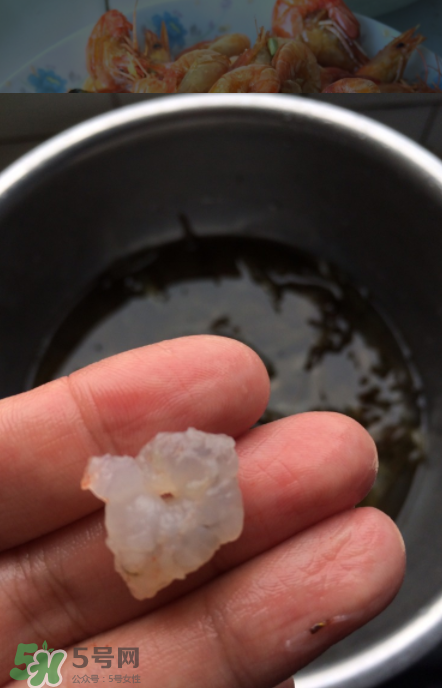 河蝦可以放冰箱嗎？河蝦在冰箱能放幾天？