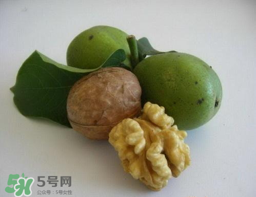 鮮核桃和干核桃哪個(gè)更有營養(yǎng)？鮮核桃和干核桃哪個(gè)營養(yǎng)價(jià)值高？