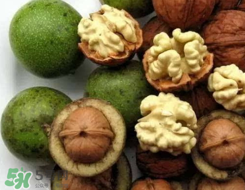 鮮核桃和干核桃哪個(gè)更有營養(yǎng)？鮮核桃和干核桃哪個(gè)營養(yǎng)價(jià)值高？