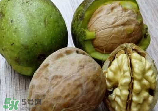 鮮核桃為什么是苦的？鮮核桃苦是怎么回事？