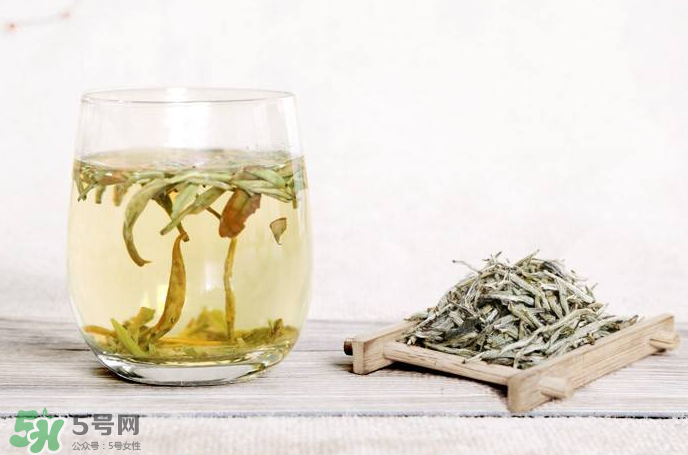 白毫銀針屬于綠茶嗎？白毫銀針是什么茶？