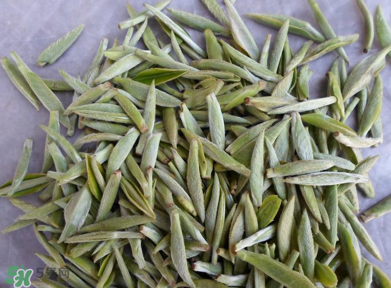 白毫銀針屬于綠茶嗎？白毫銀針是什么茶？