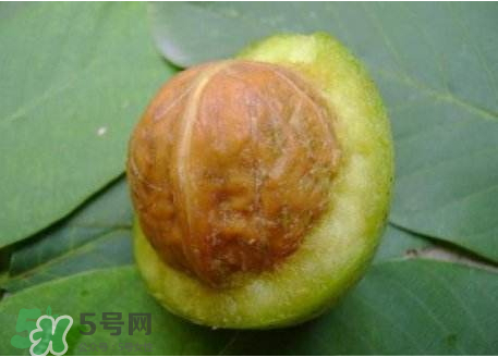 濕核桃可以放冰箱嗎？濕核桃放冰箱能放多久？