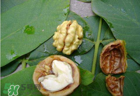 濕核桃可以放冰箱嗎？濕核桃放冰箱能放多久？