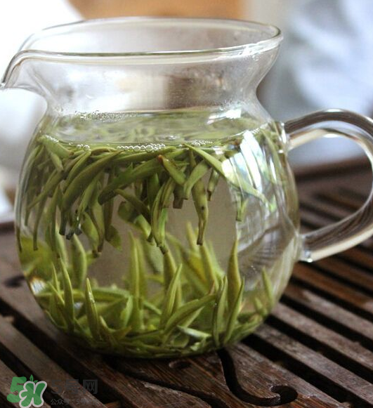 白毫銀針怎么保存？白毫銀針要放冰箱嗎？