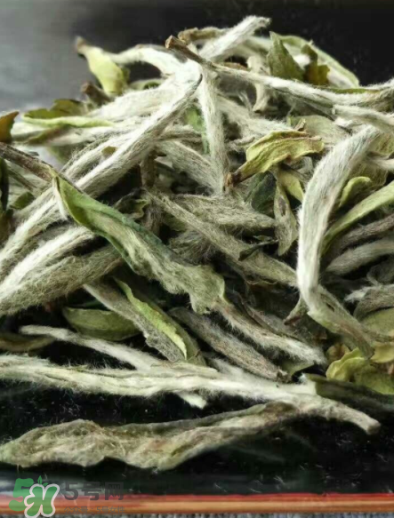 白毫銀針的產(chǎn)地在哪個省？白毫銀針是哪里產(chǎn)的？