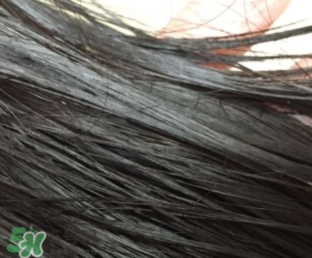 護(hù)發(fā)精油能不能抹頭皮？護(hù)發(fā)精油的危害