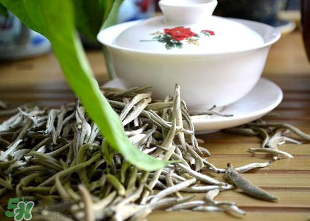 白茶需要洗茶嗎？白茶是洗還是不洗？