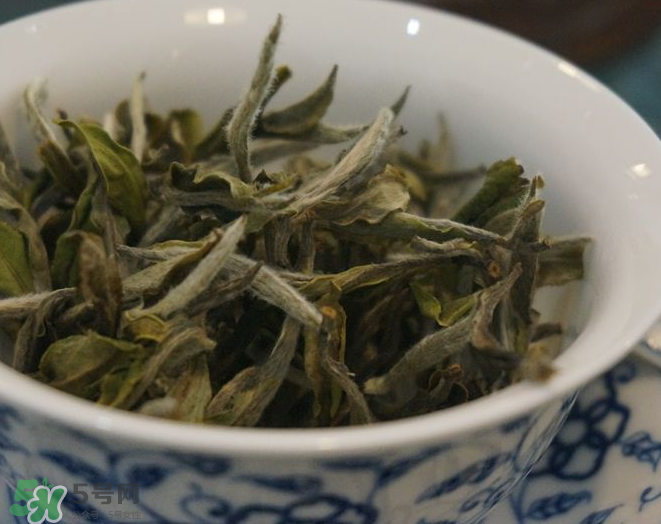 白茶需要洗茶嗎？白茶是洗還是不洗？