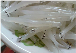 銀魚怎么保存？銀魚可以放在冰箱冷凍保存嗎？