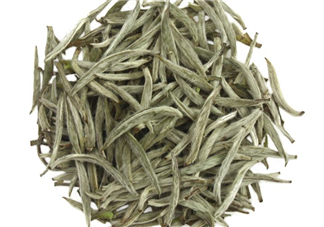 白毫銀針沖泡方法 白毫銀針口感好嗎？