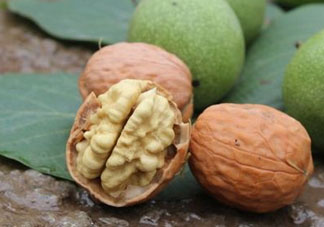 鮮核桃和干核桃哪個更有營養(yǎng)？鮮核桃和干核桃哪個營養(yǎng)價值高？