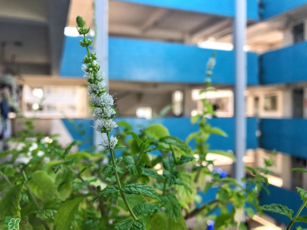 熬夜之后如何補救 熬夜第二天怎么補救 熬夜之后如何補救 熬夜第二天怎么補救