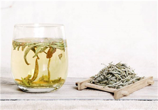 白毫銀針屬于綠茶嗎？白毫銀針是什么茶？