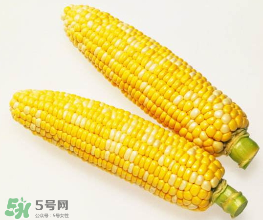 九月份能種玉米嗎？玉米九月份還可以種嗎？