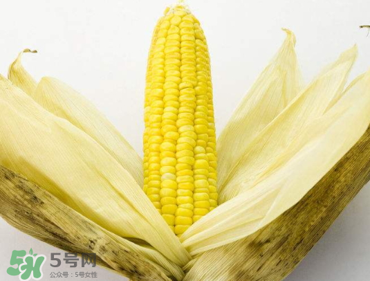 九月份能種玉米嗎？玉米九月份還可以種嗎？