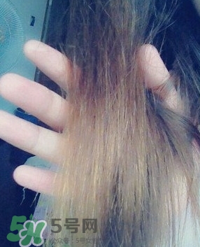 摩洛哥護發(fā)精油是哪個國家的？摩洛哥護發(fā)精油孕婦能用嗎