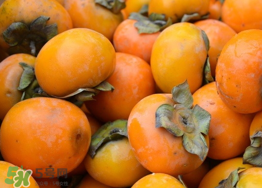 懶柿子幾月熟？哪種柿子適合做懶柿子？