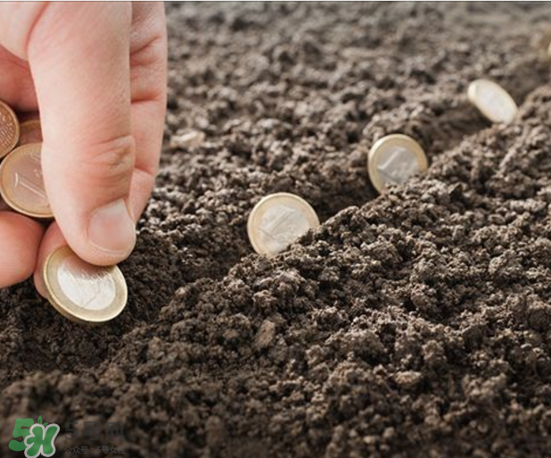 指甲上沒有月牙是怎么回事？指甲上沒有月牙是不是不健康？