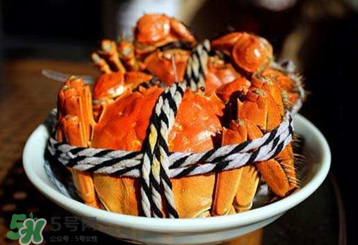 啤酒蒸大閘蟹怎么做？啤酒蒸大閘蟹做法步驟