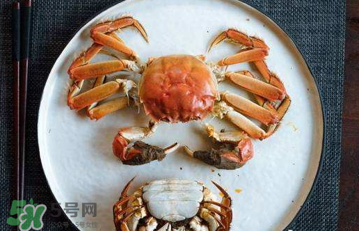 啤酒蒸大閘蟹好吃嗎？啤酒蒸大閘蟹怎么吃？