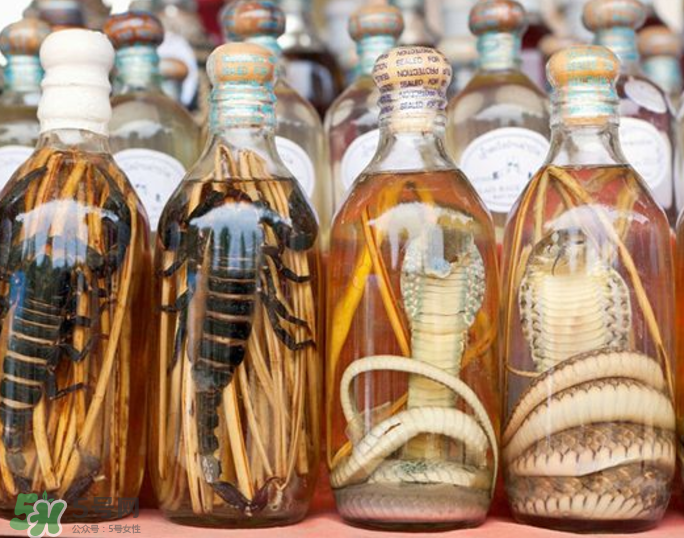 毒蛇泡酒有毒嗎？毒蛇泡酒能喝嗎？