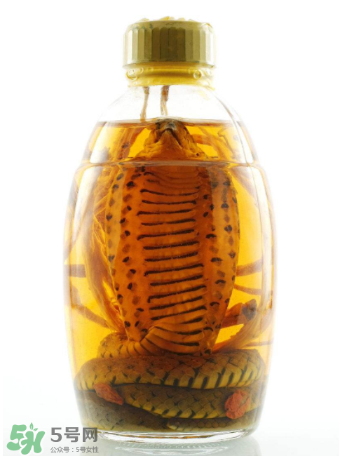 毒蛇泡酒有毒嗎？毒蛇泡酒能喝嗎？