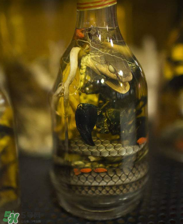 毒蛇泡酒有毒嗎？毒蛇泡酒能喝嗎？