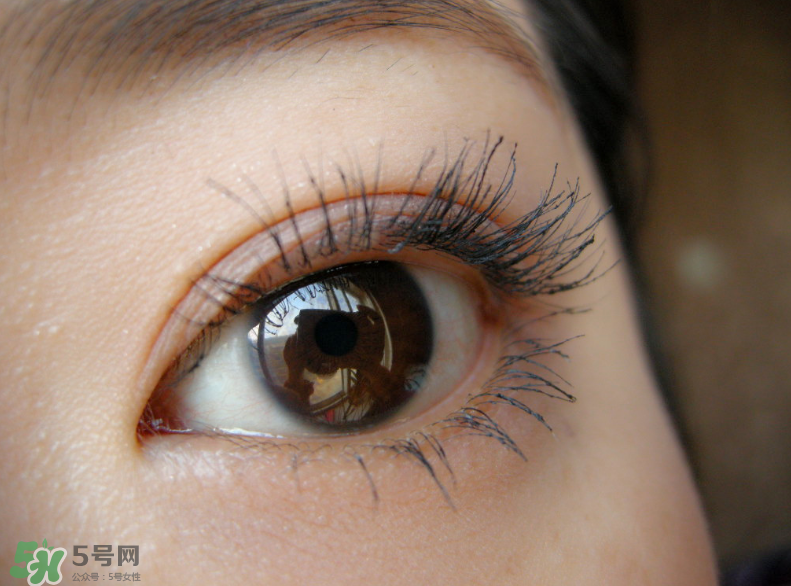 KATE睫毛打底膏怎么用？KATE睫毛打底膏好用嗎？