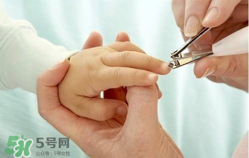 寶寶多大可以剪指甲？寶寶剪指甲的正確方法